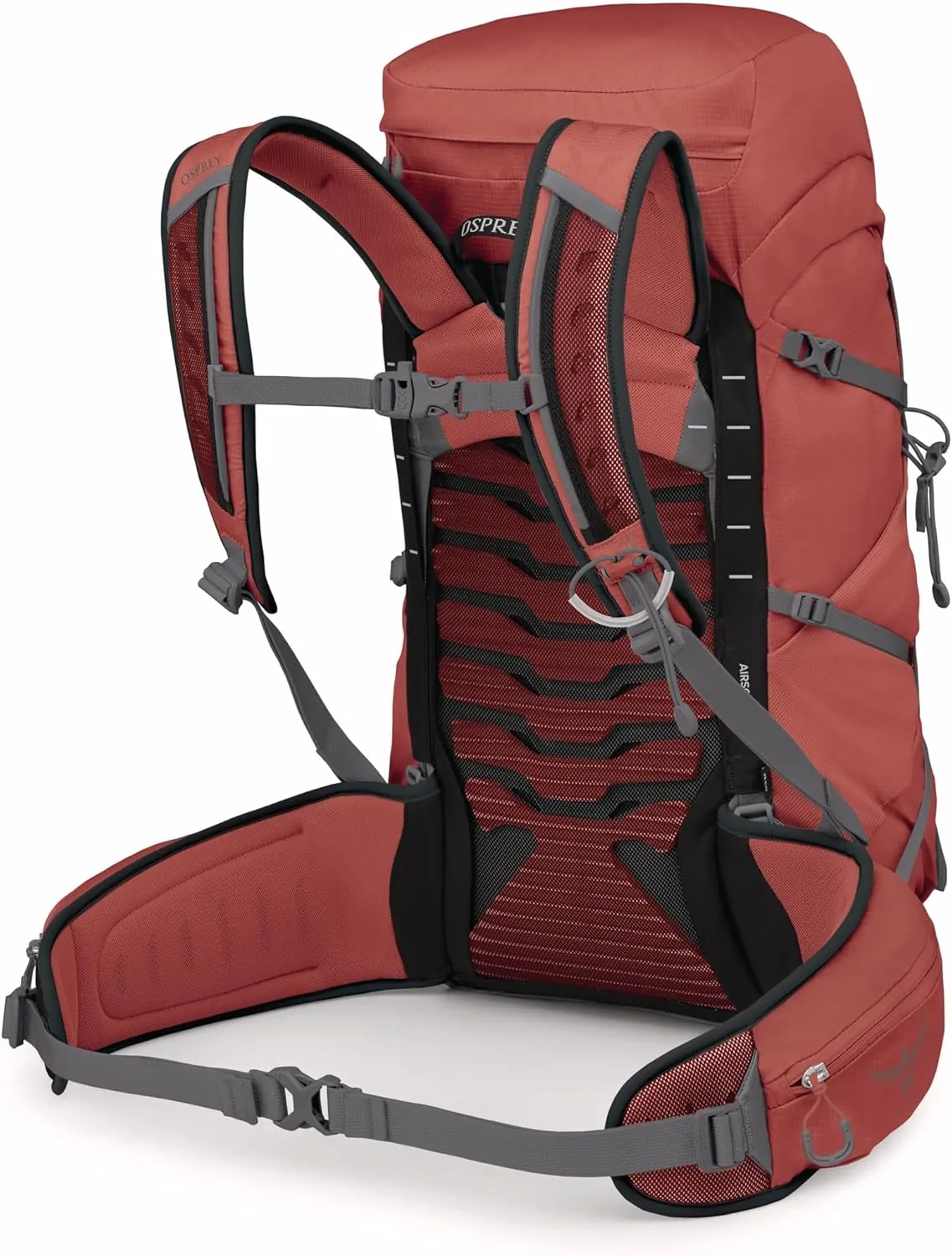 Osprey Tempest 33L Women's Lightweight Hiking Backpack with Hipbelt, Red Pampas/Coal Grey, Extended Fit